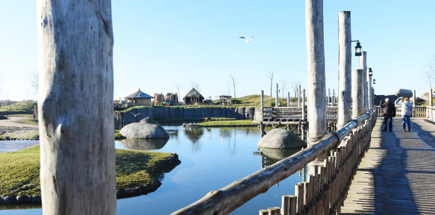 foto van een plek omringt met water en een loopbrug in Wildlands Emmen