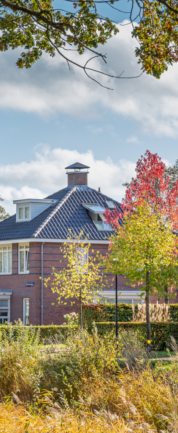 De verschillende woningen in Beilen van het project Nagtegael vanuit een groene omgeving