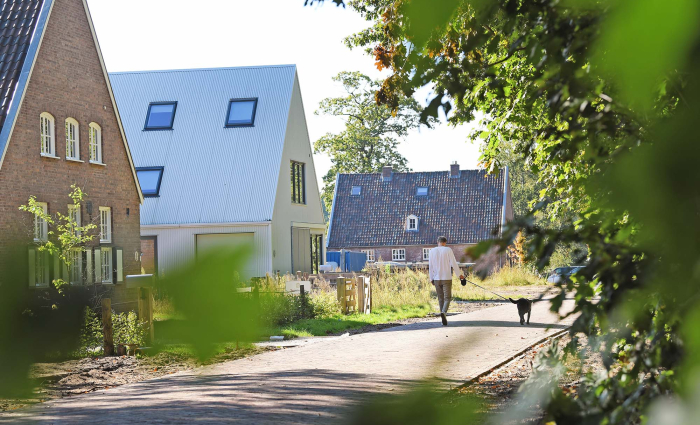 Beeld waarbij oude en nieuwe gebouwen te zien zijn waar iemand de hond uitlaat over straat  
