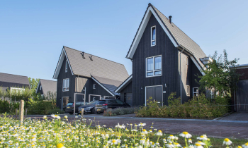 Twee donker gekleurde woningen in De Tuin van Elden