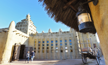 Vooraanzicht van een gebouw in Wildlands Emmen