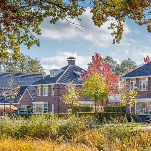 De verschillende woningen in Beilen van het project Nagtegael vanuit een groene omgeving 