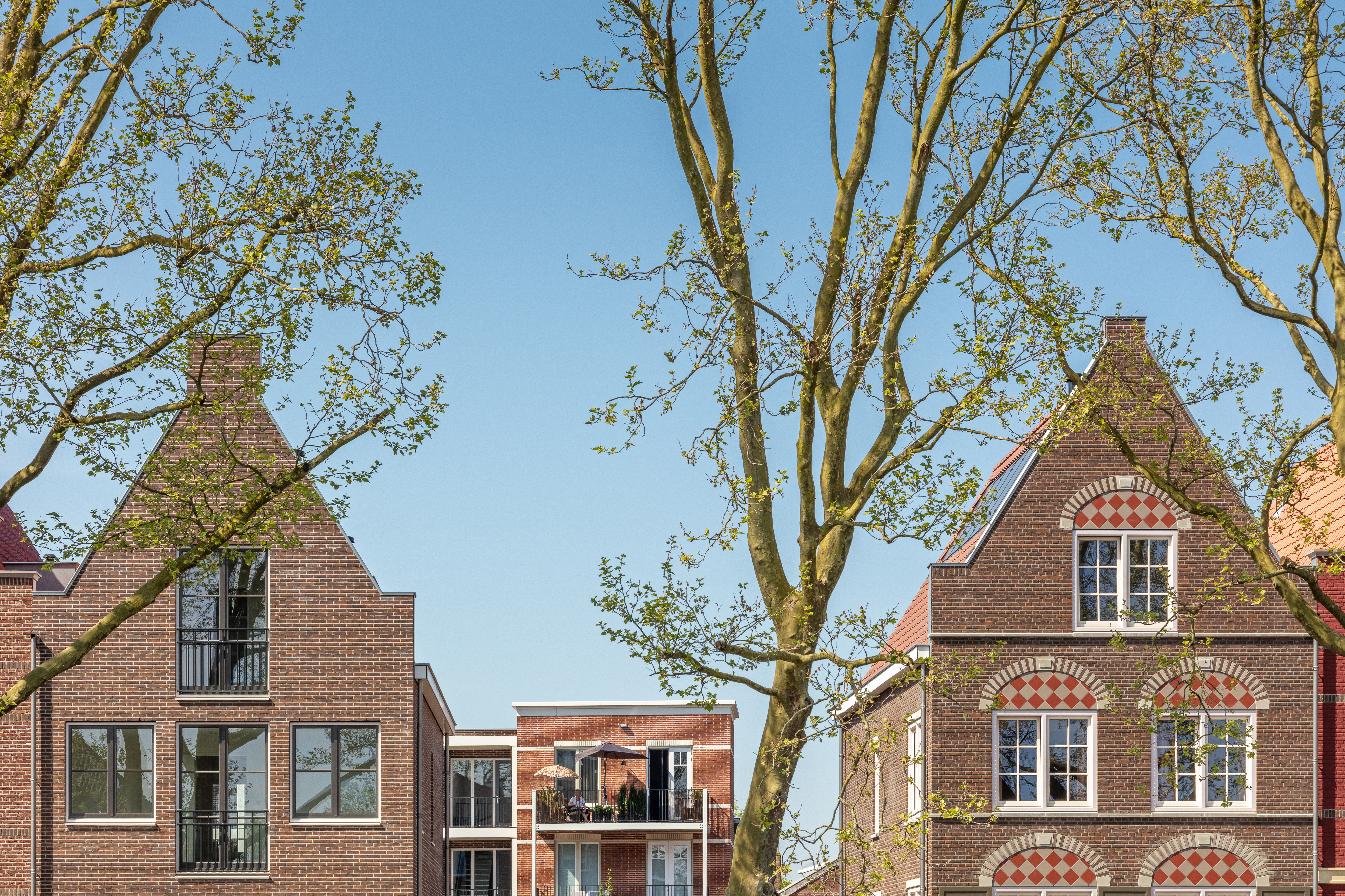 Edam Baandervesting 2