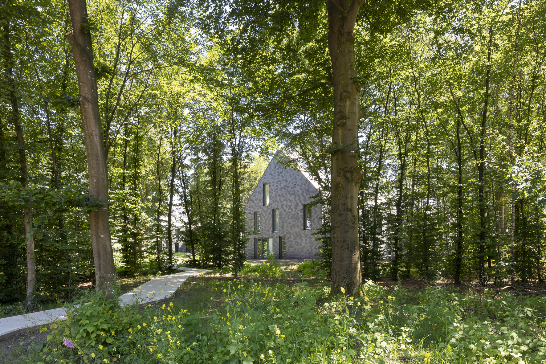 Herenhuizen in het bos